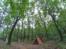 프로그램찾기 이미지