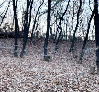 기관대표이미지