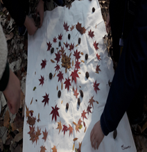 프로그램찾기 이미지