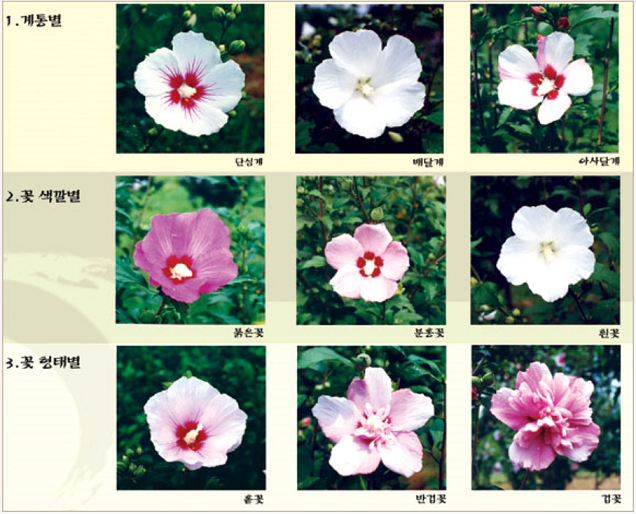 프로그램찾기 이미지