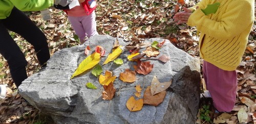 프로그램찾기 이미지