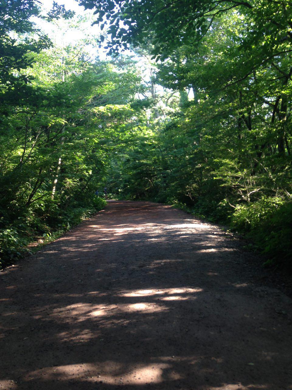 프로그램찾기 이미지