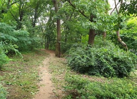 프로그램찾기 이미지