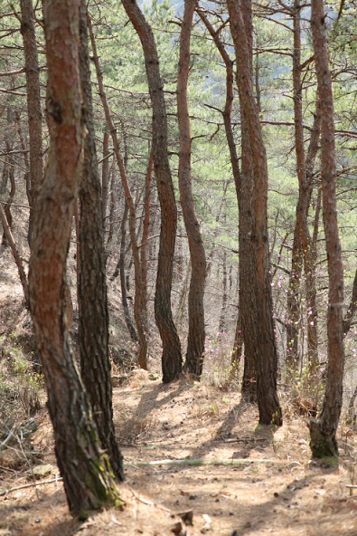 프로그램찾기 이미지