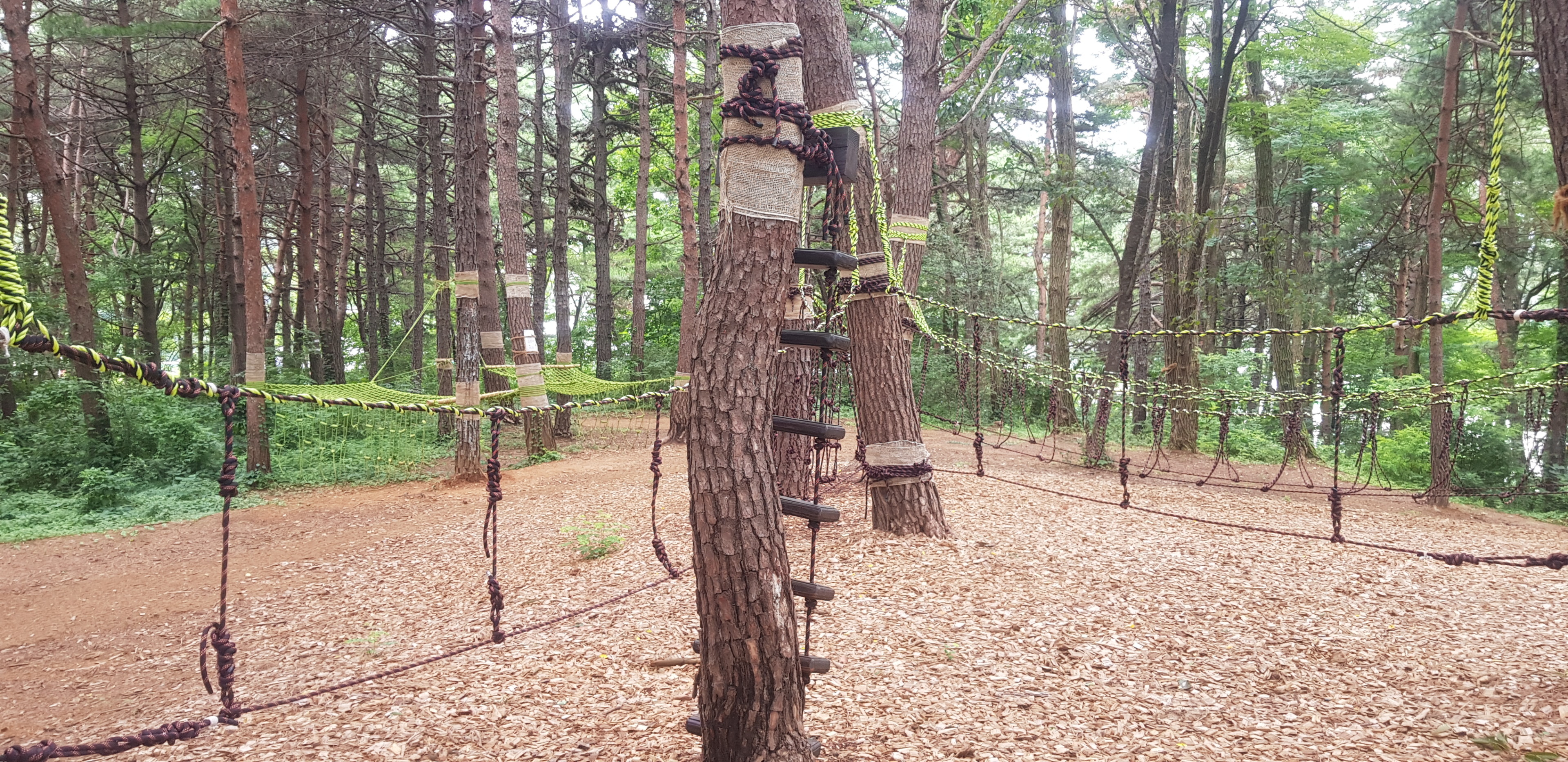 기관대표이미지