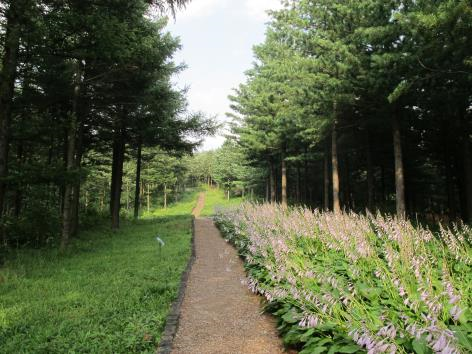 프로그램찾기 이미지