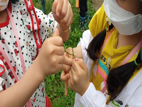 프로그램찾기 이미지