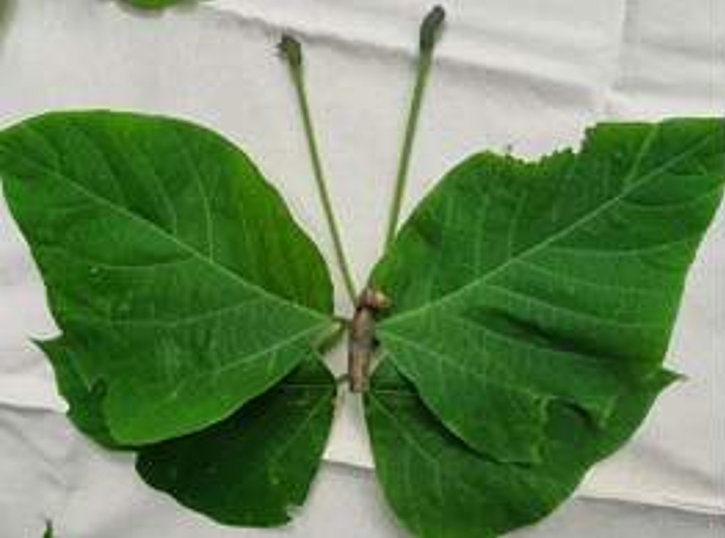 프로그램찾기 이미지