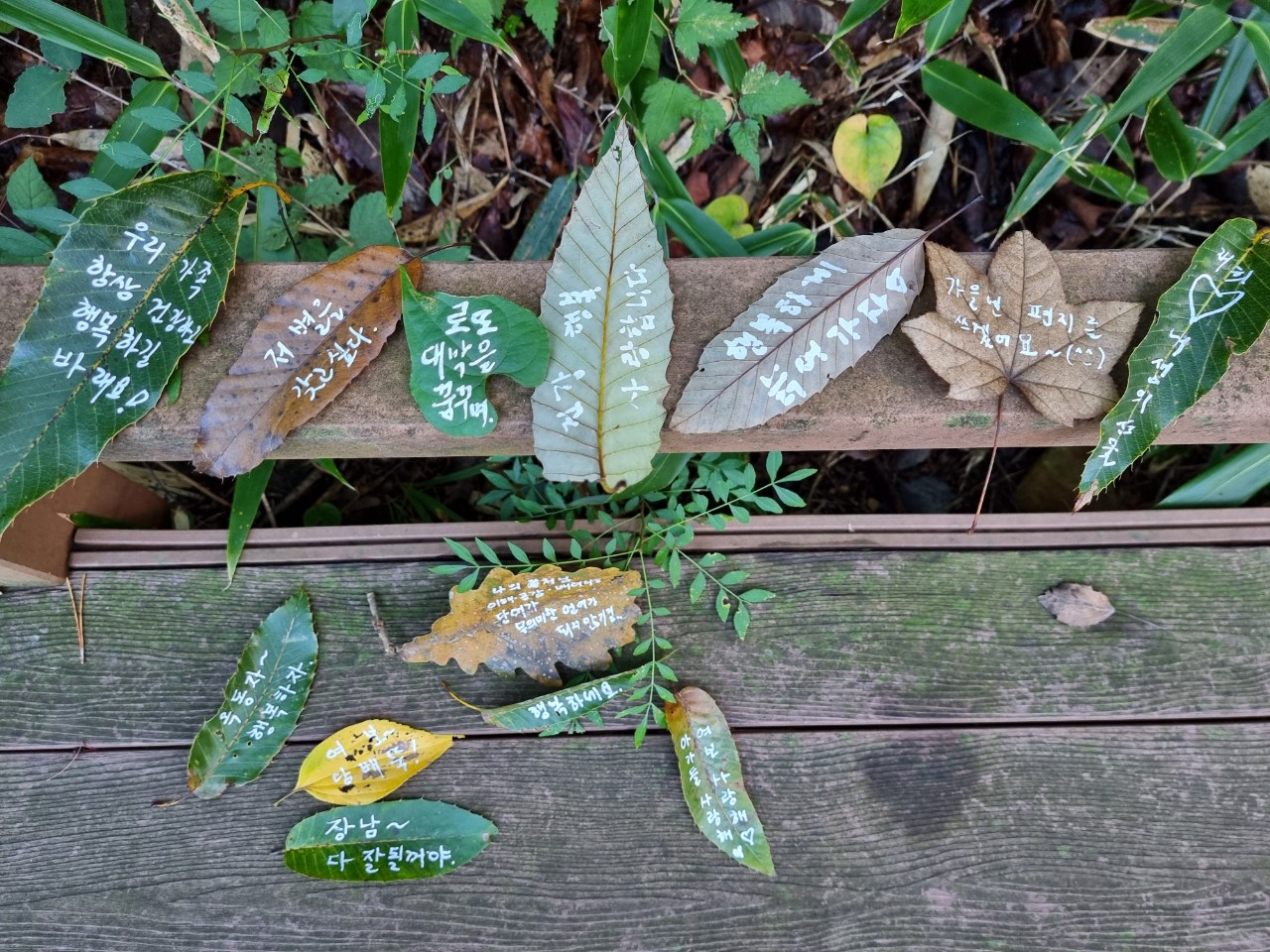 프로그램찾기 이미지