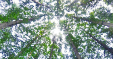 프로그램찾기 이미지