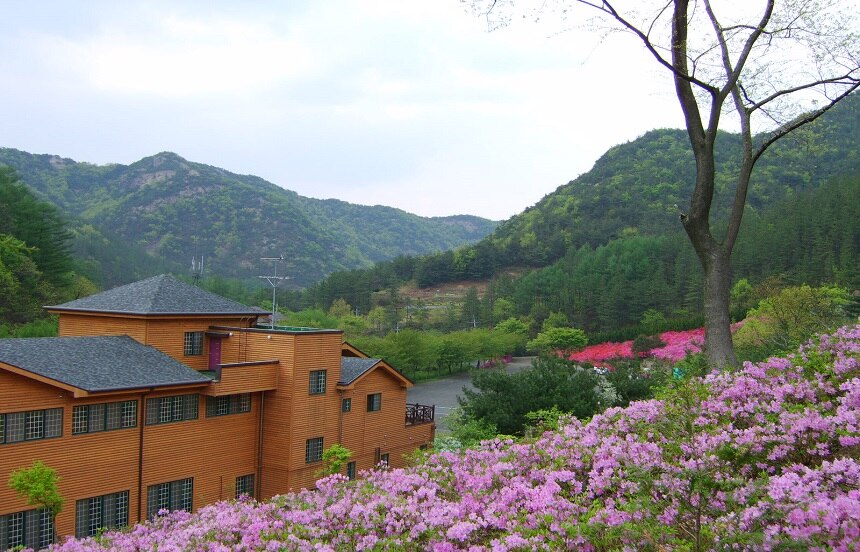 기관대표이미지